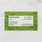 Center Étiquette v3 - Dandelion Meadow 02 (Dos)