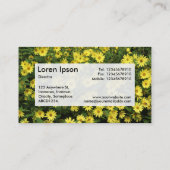 Center Label v3 - Gele dagen (Achterkant)