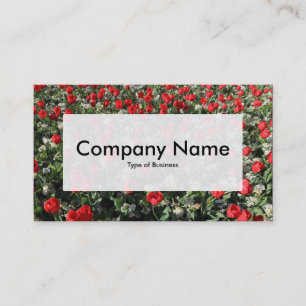 Center Label v3 - Red Tulips en Primroses