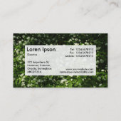 Center Label v3 - Wilde knoflook (Achterkant)