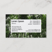 Center Label v4 - Woodland Canopy 01 (Achterkant)