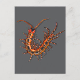 Centipede  briefkaart