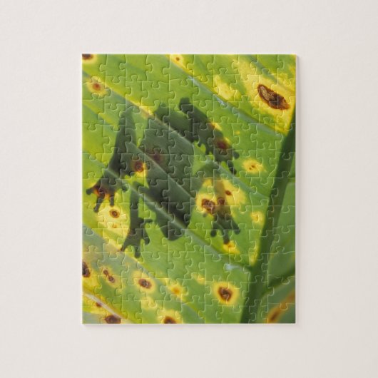 CENTRAAL-AMERIKA, Costa Rica, kikker met achtergro Legpuzzel (Verticaal)