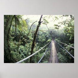 Centraal-Amerika, Costa Rica, Monteverde Cloud Poster