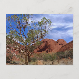 Centraal-Australië Briefkaart