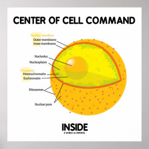 Centraal celcommando in nucleus-biologie poster