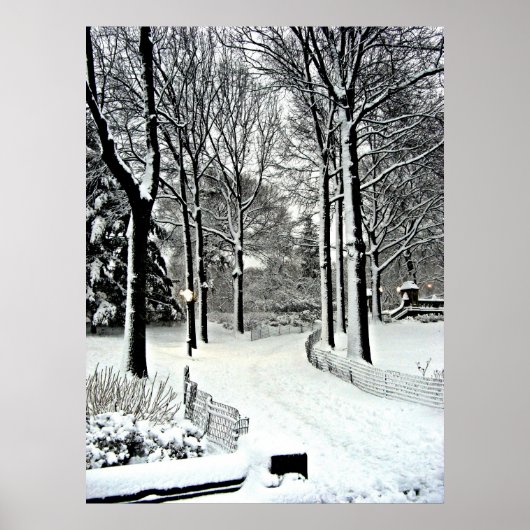Centraal park 2010 Sneeuw - CIMG6446 Poster (Voorkant)