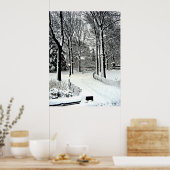 Centraal park 2010 Sneeuw - CIMG6446 Poster (Keuken)
