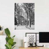 Centraal park 2010 Sneeuw - CIMG6447-a Poster (Thuiskantoor)