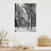 Centraal park 2010 Sneeuw - CIMG6447-a Poster (Keuken)