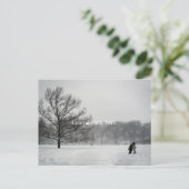 Centraal park, Briefkaart (Staand voorkant)