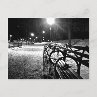 Centraal Park in de winter Briefkaart