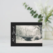 centraal park new york briefkaart (Staand voorkant)