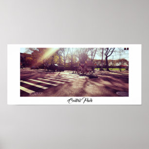 CENTRAAL PARK NEW YORK POSTER