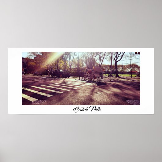 CENTRAAL PARK NEW YORK POSTER (Voorkant)