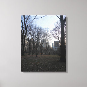 Centraal Park. NYC Canvas Afdrukken