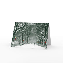 Centraal Park Snowy Path