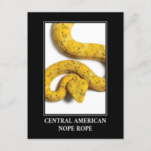 Central American Nope Rope - Viper Snake Danger Briefkaart