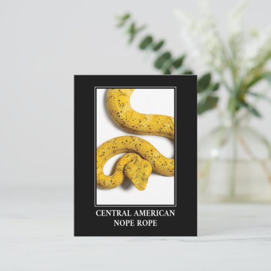 Central American Nope Rope - Viper Snake Danger Briefkaart (Staand voorkant)