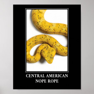 Central American Nope Rope - Viper Snake Danger Poster