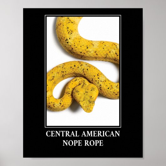 Central American Nope Rope - Viper Snake Danger Poster (Voorkant)
