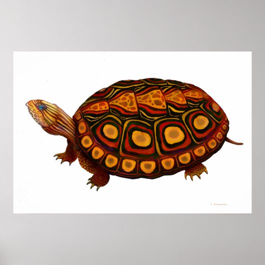 Central American Wood Turtle Print (Voorkant)