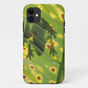 CENTRAL AMERIKA, Costa Rica, Achterlicht kikker op iPhone 11 Hoesje