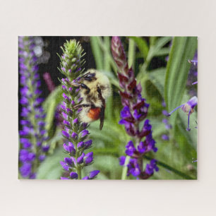 Central Bumblebee met Bloeiende Speedwell Plant Legpuzzel