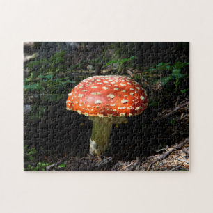 Central Cascades, staat Washington Legpuzzel