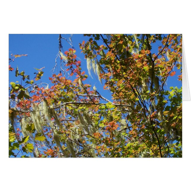 Central Oregon Herfst (Voorkant Horizontaal)