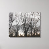 Central Park-1 Canvas Afdruk (Voorkant)