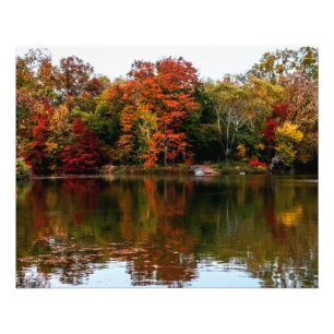 Central Park Autumn Herfst Landscape Foto Afdruk