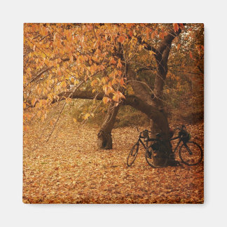 Central Park Autumn - New York City Magneet