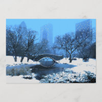 Central Park Bridge sur invitation à la neige au c