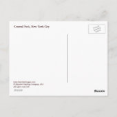 Central Park Briefkaart (Achterkant)