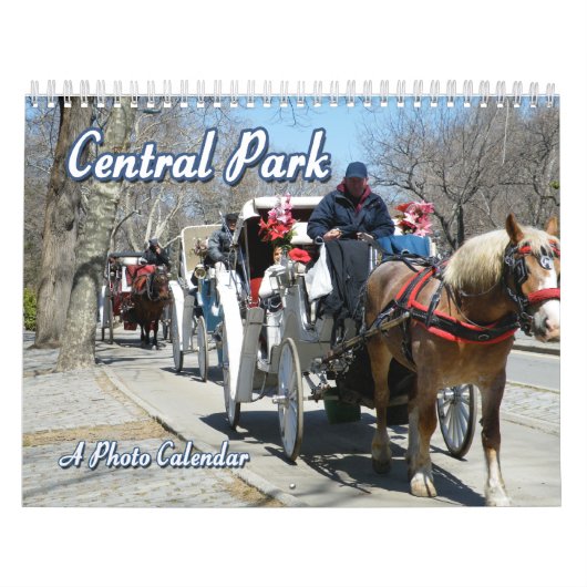 Central Park Calendar Kalender (Hoes)