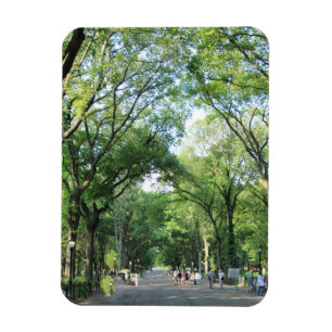 Central Park: De Gang van de dichter in de Zomer Magneet