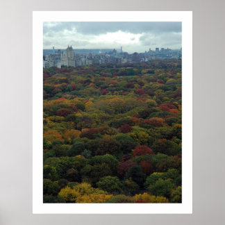 Central Park Herfst Poster
