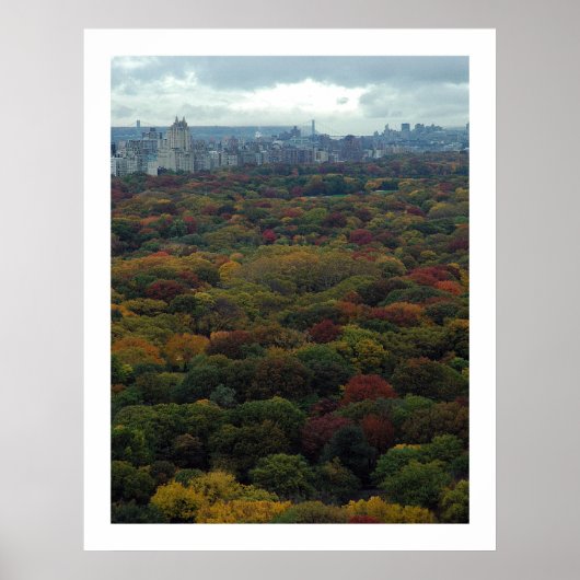 Central Park Herfst Poster (Voorkant)