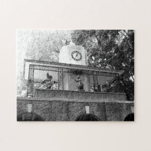 Central Park Jigzaag Puzzle Legpuzzel