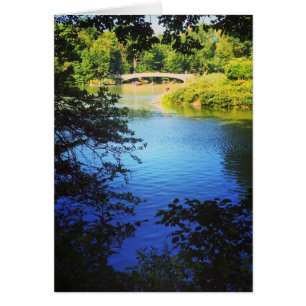 Central Park Lake Bow Bridge New York Photo