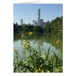 Central Park Lake Flowers Skyscraper New York NYC