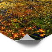 Central Park Lake Uitzicht 2006 Poster (Hoek)