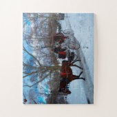 Central Park Legpuzzel (Verticaal)