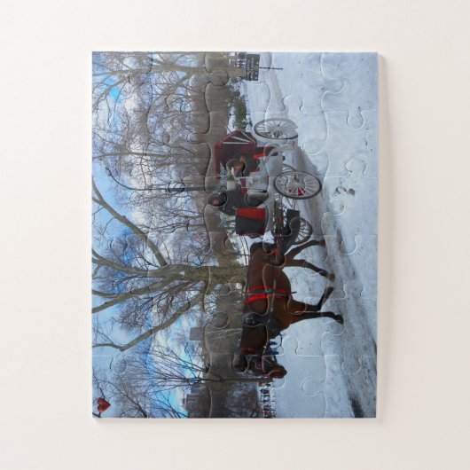 Central Park Legpuzzel (Verticaal)