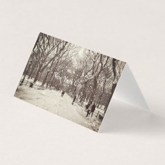 Central Park Magnetische Kaart