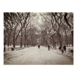 Central Park Mall Foto Afdruk