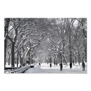 Central Park Mall Winter Scene Foto Afdruk