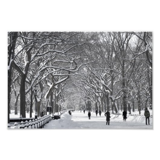 Central Park Mall Winter Scene Foto Afdruk (Voorkant)