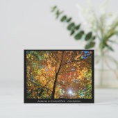 Central Park Manhattan Briefkaart (Staand voorkant)